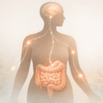 Leaky gut Syndrom