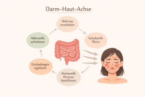 Darm und Haut Achse
