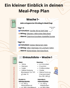 Einblick in den Meal-Prep Plan